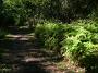 crowdy-national-park 013